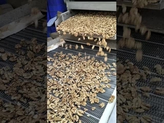 แมจิก ของ มะเขือเทศ มะเขือเทศ สําหรับ การ รักษา ทาง ธรรมชาติ และ สุขภาพ ดี