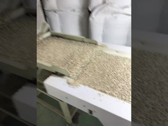 ขายปลีกราคาถูก ราคาเกรด Barkey จีน เมล็ดเมล็ดดอกไม้ตะวัน ขายดีที่สุดใน Amazon