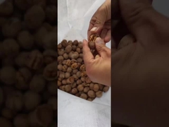 มะเขือเทศใช้เป็นส่วนใหญ่เพื่ออะไร?