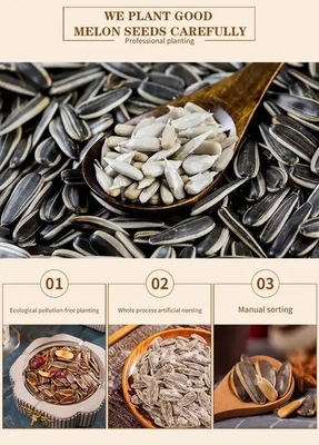ซื้อ โรงงานจีน ขั้นตอน 5 เครื่องเทศหอม ผสมเกลือ ผสมเมล็ดพวงอาทิตย์ online manufacture