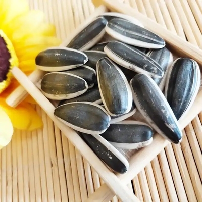 ซื้อ เมล็ดดอกแดด 5009 เหมาะสมกับความต้องการของลูกค้า online manufacture