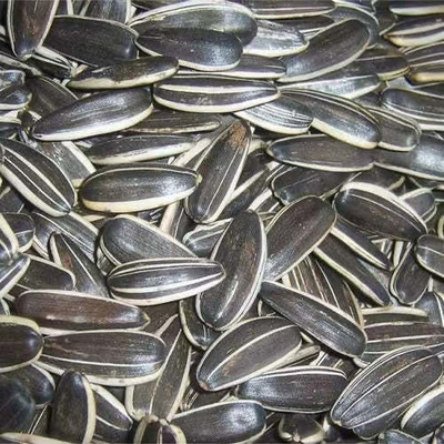 ซื้อ นําธุรกิจของคุณไปสู่ระดับต่อไปด้วยเมล็ดพวงอาทิตย์ S3 online manufacture