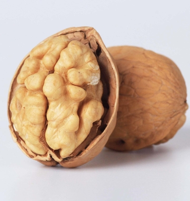ซื้อ Walnut Chinan Manufacturer Xin2 Walnut ในเปลือก ราคาดีที่สุด อร่อย สีน้ําตาลเบา สีชั้นนํา สินค้าที่ขายดีที่สุดของ Amazon online manufacture