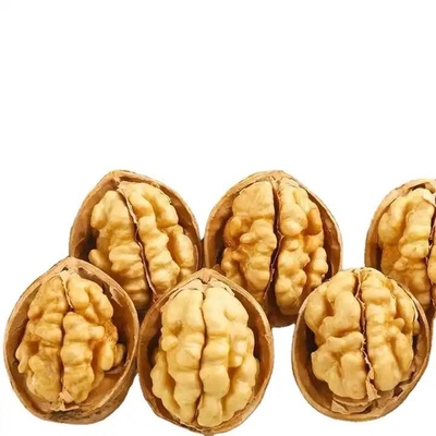 ซื้อ แอเมซอน ขายร้อน ขายตรงโรงงาน 185/33/xin2/xingfu ถั่วเขียวและเมล็ดถั่วเขียวที่มีคุณภาพที่ดีที่สุด online manufacture