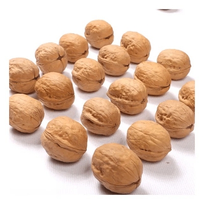 ซื้อ ผู้ผลิต ขายปลีก ซินเจียง 185 มะเขือเทศในเปลือกและมะเขือเทศ xin2/33 online manufacture