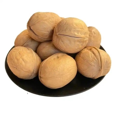 ซื้อ ชาวจีน โรงงาน ขายส่งปลีก สินเจียงถั่วใหญ่คุณภาพสูง ในผลไม้ที่เปลือกและผลไม้แห้งและถั่ว online manufacture