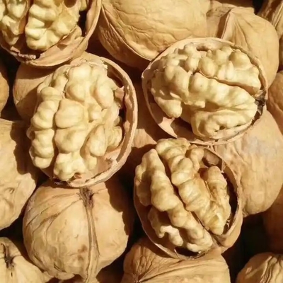 ซื้อ เหนือการแข่งขันด้วย Walnut Kernel Xin 2 online manufacture
