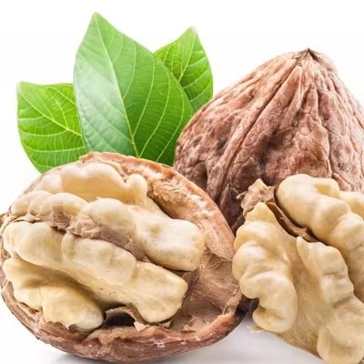 ซื้อ เสริมธุรกิจ B2B ของคุณด้วย Walnut Kernel 33 ที่มาจากผู้จําหน่ายที่เชื่อถือได้ online manufacture