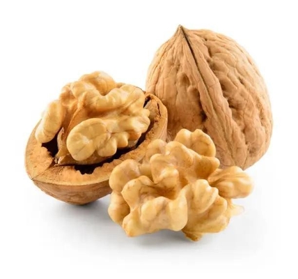 คุณภาพดีที่สุด กระดาษกระเป๋าผิวบาง Walnut 185 กับกระเป๋าในสับซ้อนจากจีน
