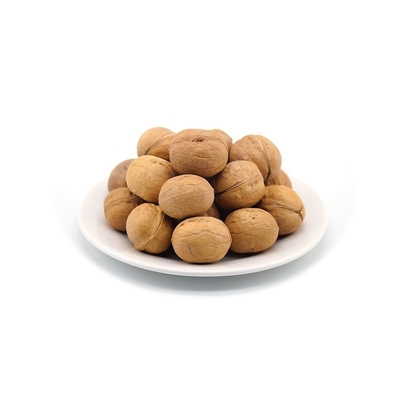 โรงงาน ขายส่งยอดขาย ขายร้อน 185/33/xin2/xingfu walnut ในเปลือกในราคาถูก