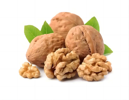กระดาษหลากหลาย เปลือกเมล็ดถั่วเขียว ในเปลือก สีธรรมชาติ XinFu Kernel ชินเจียง ผลไม้แห้ง