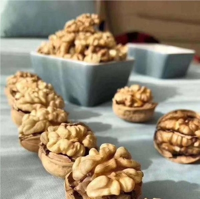 อัพเกรดสายสินค้าของคุณด้วย Walnut Kernel Xin 2 ในจํานวนมาก