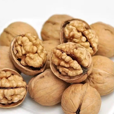 อัพเกรดสายสินค้าของคุณด้วย Walnut Kernel Xin 2
