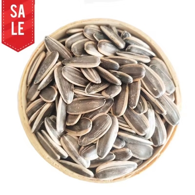 สินค้าชั้นสูง 2024 ผักใหม่ มองโกเลียภายใน สินค้าคุณภาพสูง สินค้าอินทรีย์ ขนาดใหญ่